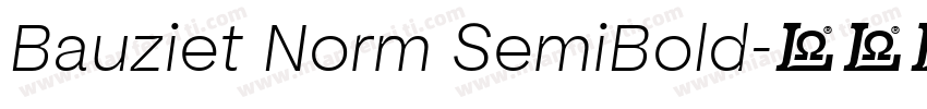 Bauziet Norm SemiBold字体转换